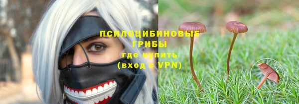 бутират Белокуриха