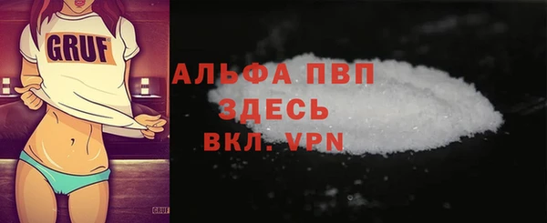 ECSTASY Богородицк