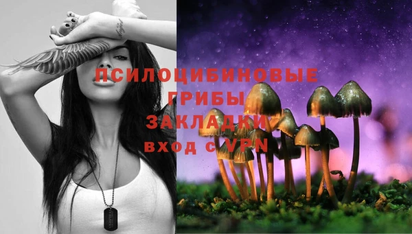бутират Белокуриха